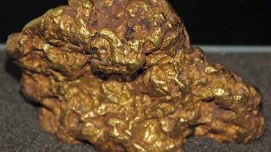 أنواع الصخور التي تحتوي على الذهب